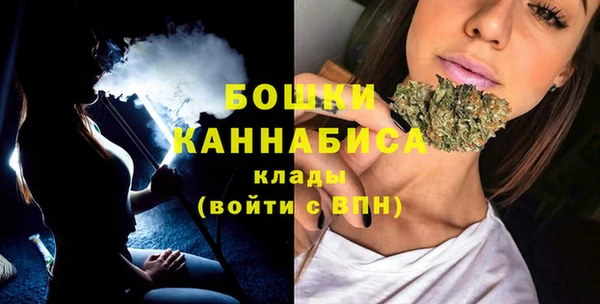 ECSTASY Богородицк